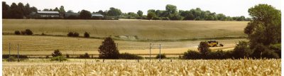 Land between Henham and Elsenham